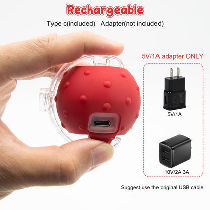 Cat & Dog Toys Ball for Indoor Fast Rolling on Carpet