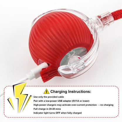 Cat & Dog Toys Ball for Indoor Fast Rolling on Carpet