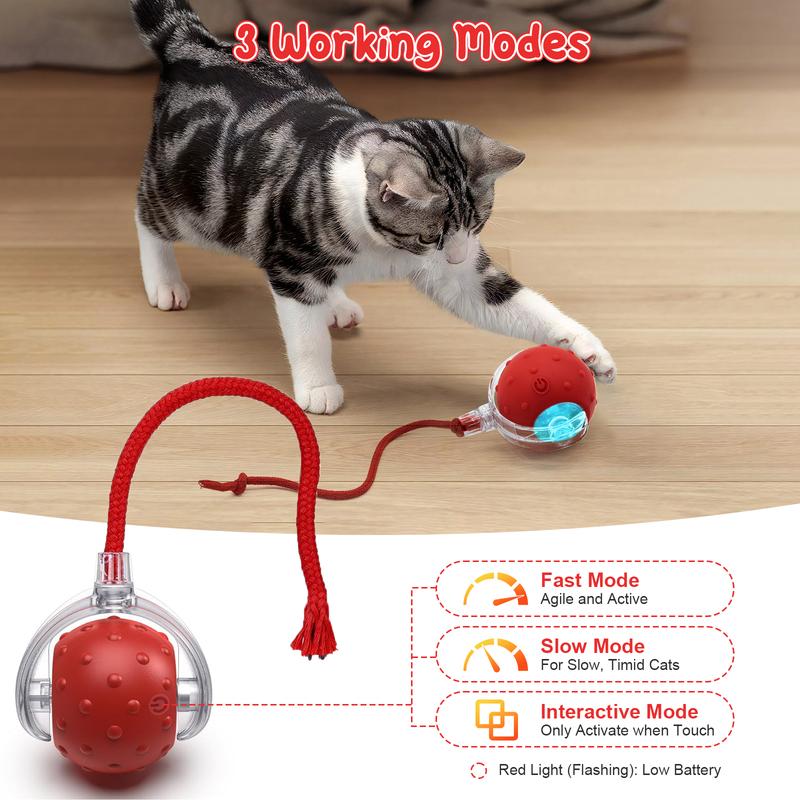 Cat & Dog Toys Ball for Indoor Fast Rolling on Carpet