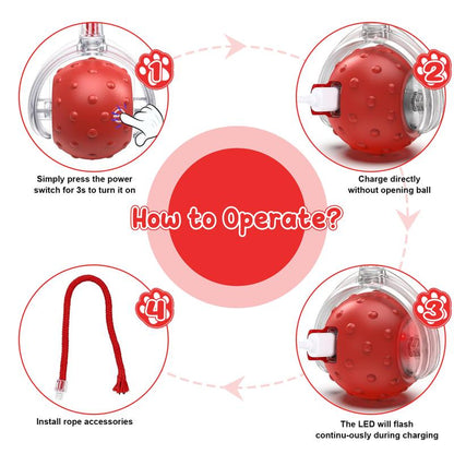 Cat & Dog Toys Ball for Indoor Fast Rolling on Carpet